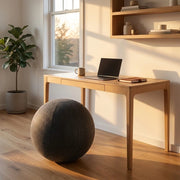 Ball Chair - | Deskly