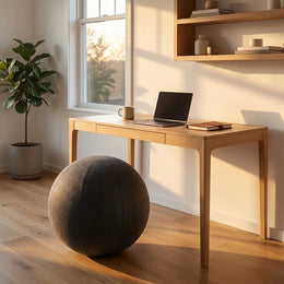Ball Chair - | Deskly